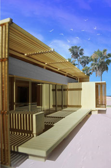 Illustration of FLeX House on a beach. In the background are palm trees and sea gulls.