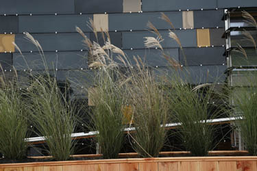 Photo of the exterior and landscaping of the Team Germany Solar Decathlon 2009 house.