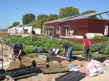 Photo of students watering plants on the National Mall as part of the 2005 Solar Decathlon.