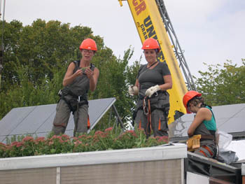 Photo of three women and plants on rooftop.