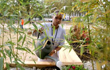 Photo of a young woman watering plants at the Solar Decathlon house from the New York Institute of Technology.