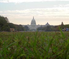 Photo of the National Mall, with the U.S. Capitol building in the distance.