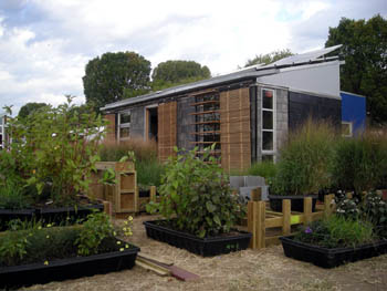 Photo of several planter boxes full of brushes and flowers, with the solar house in the background.