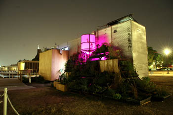 Photo of a house at night with pink light casting a glow on a wall of green plants.