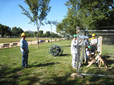 Photo of five men wearing hardhats and standing around and inside a fenced area. The men inside work on an electrical box. The men outside watch. In the background is a walkway and trees.