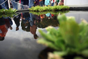 Photo of a small pond with greenery growing inside. In the reflection of the water, a line of visitors is visible.