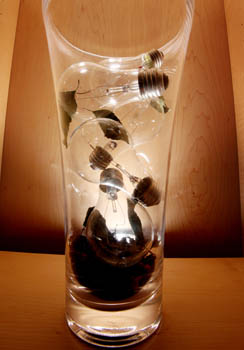 Photo of a clear glass vase. Inside are five incandescent light bulbs and some leaves.