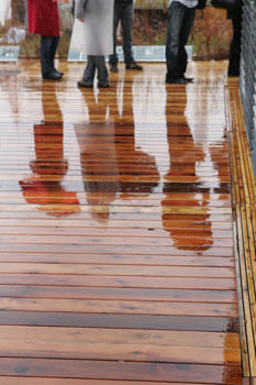 Photo of people standing on a wood deck in the rain. Their reflections are cast on the wet wood.
