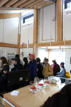 Photo of a stream of people entering the Team Alberta house. In the middle, on man looks up to the vaulted ceilings and pendant lights.