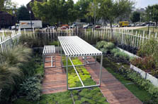 Photo of a dining table in an outdoor rooftop garden.