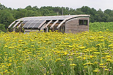Photo of Maryland's solar house surrounded by wildflowers at Red Wiggler Community Farm.