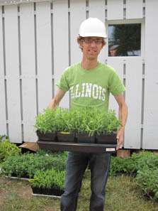 Photo of a man wearing a hard hat and Illinois T-shirt and carrying a tray of plants.